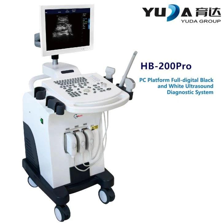 Mesin Pengimbas Ultrabunyi 3D4D
